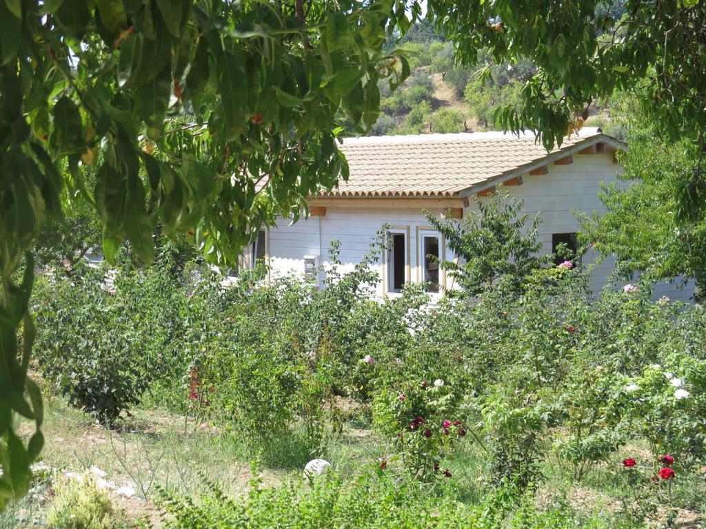 Camping Fiori Di Noto Chambre photo
