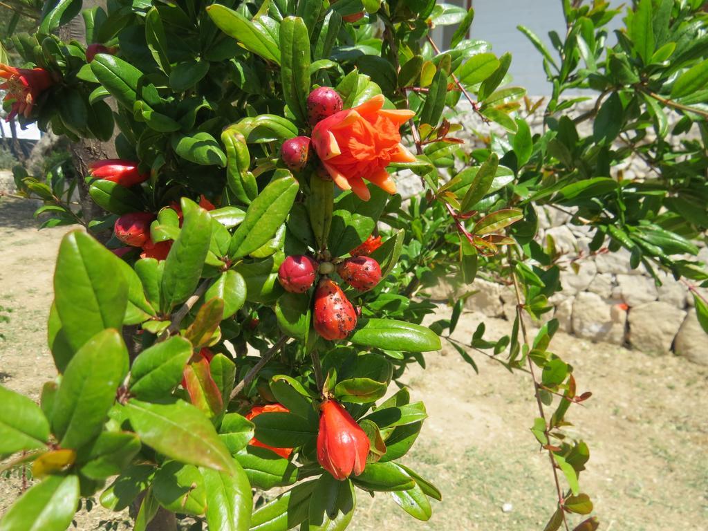 Camping Fiori Di Noto Extérieur photo