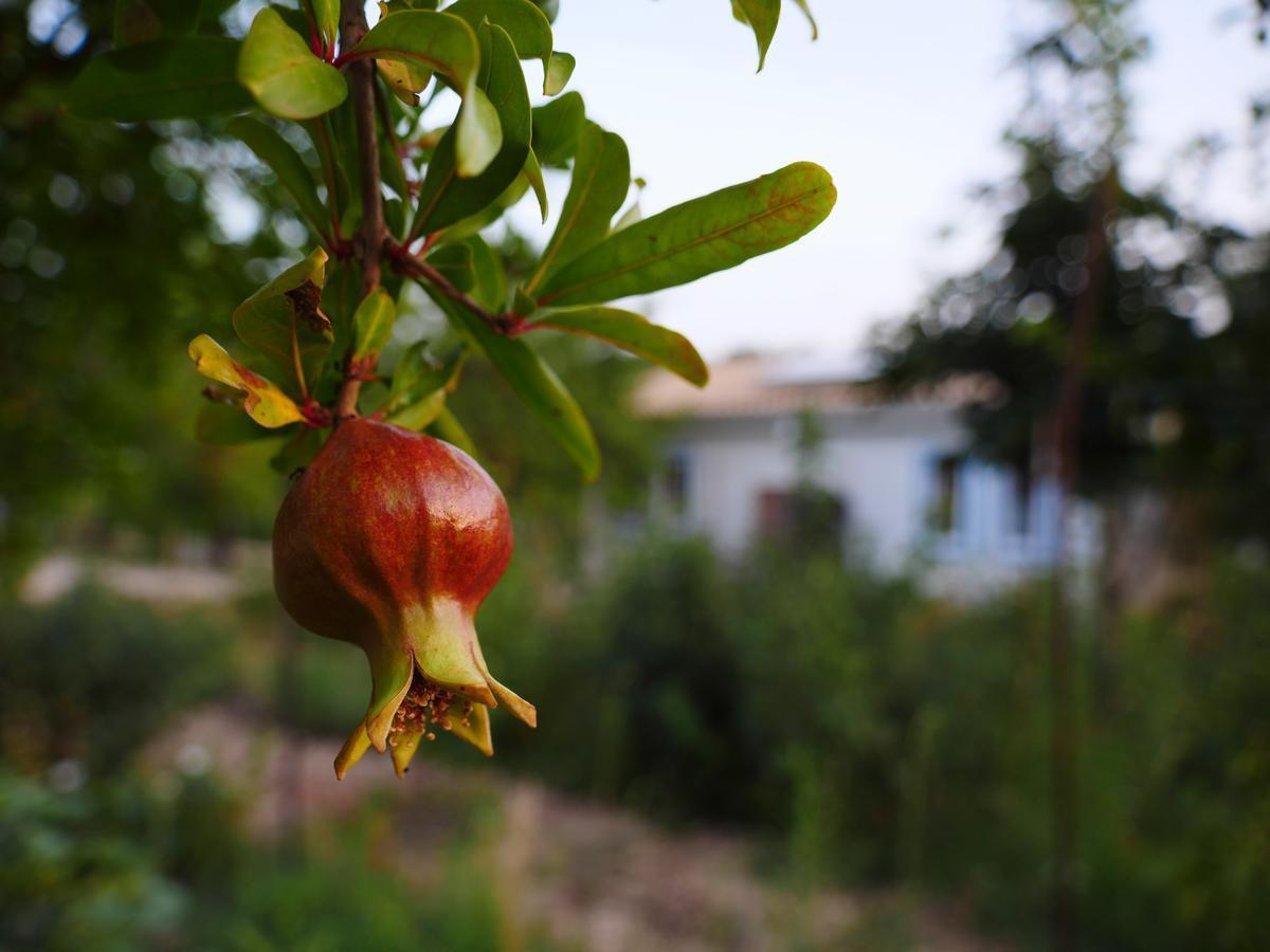 Hotel Camping Fiori Di Noto Extérieur photo