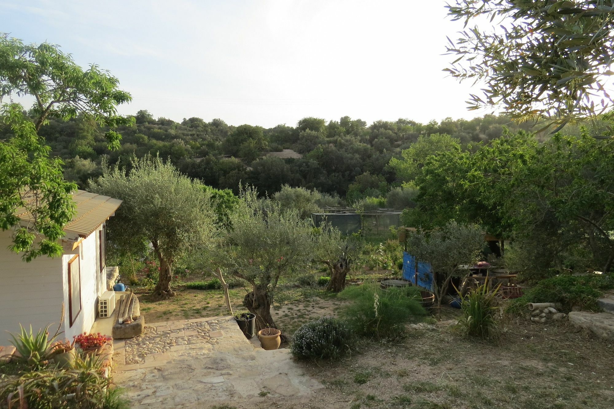 Hotel Camping Fiori Di Noto Extérieur photo