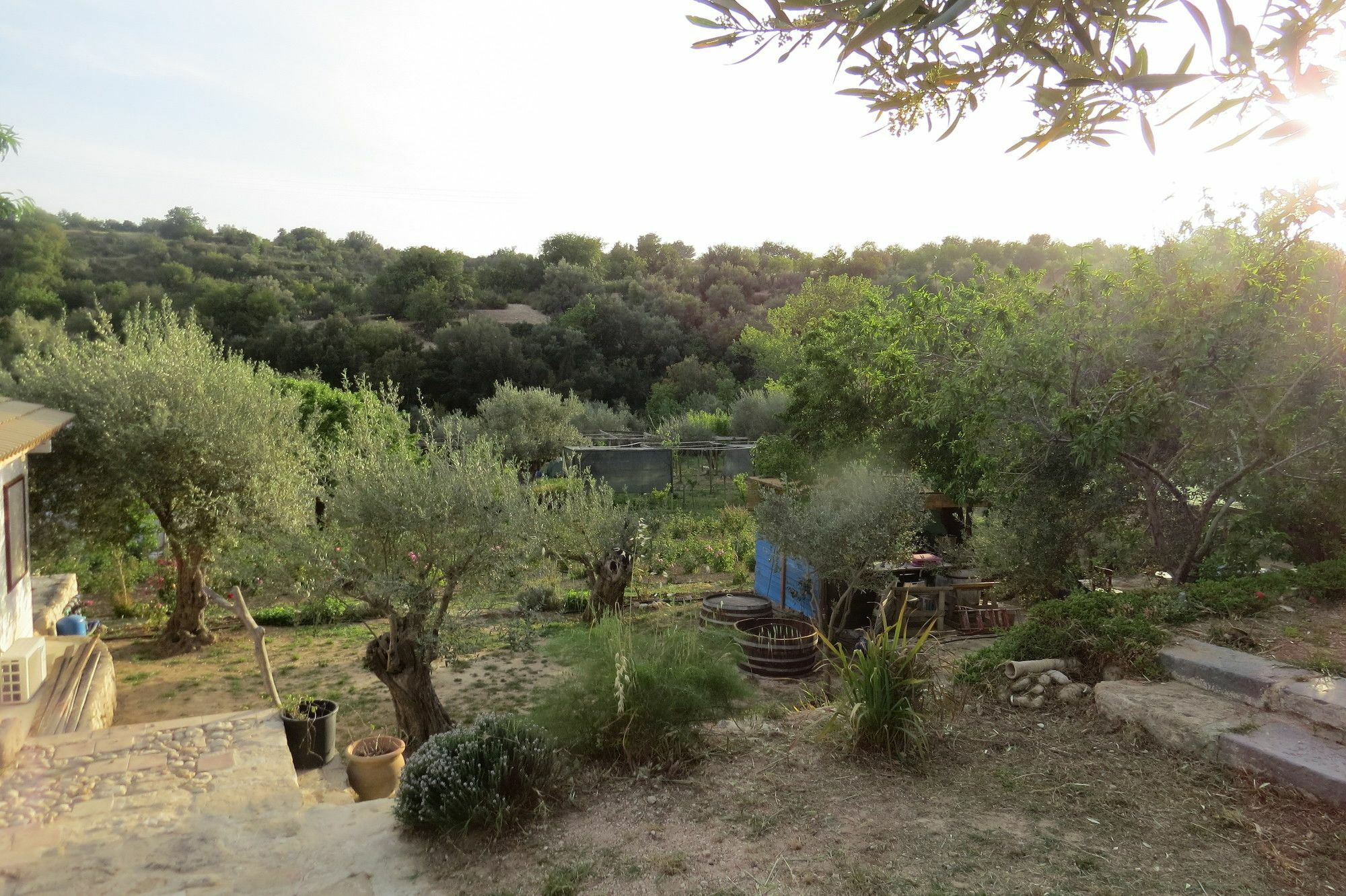 Hotel Camping Fiori Di Noto Extérieur photo