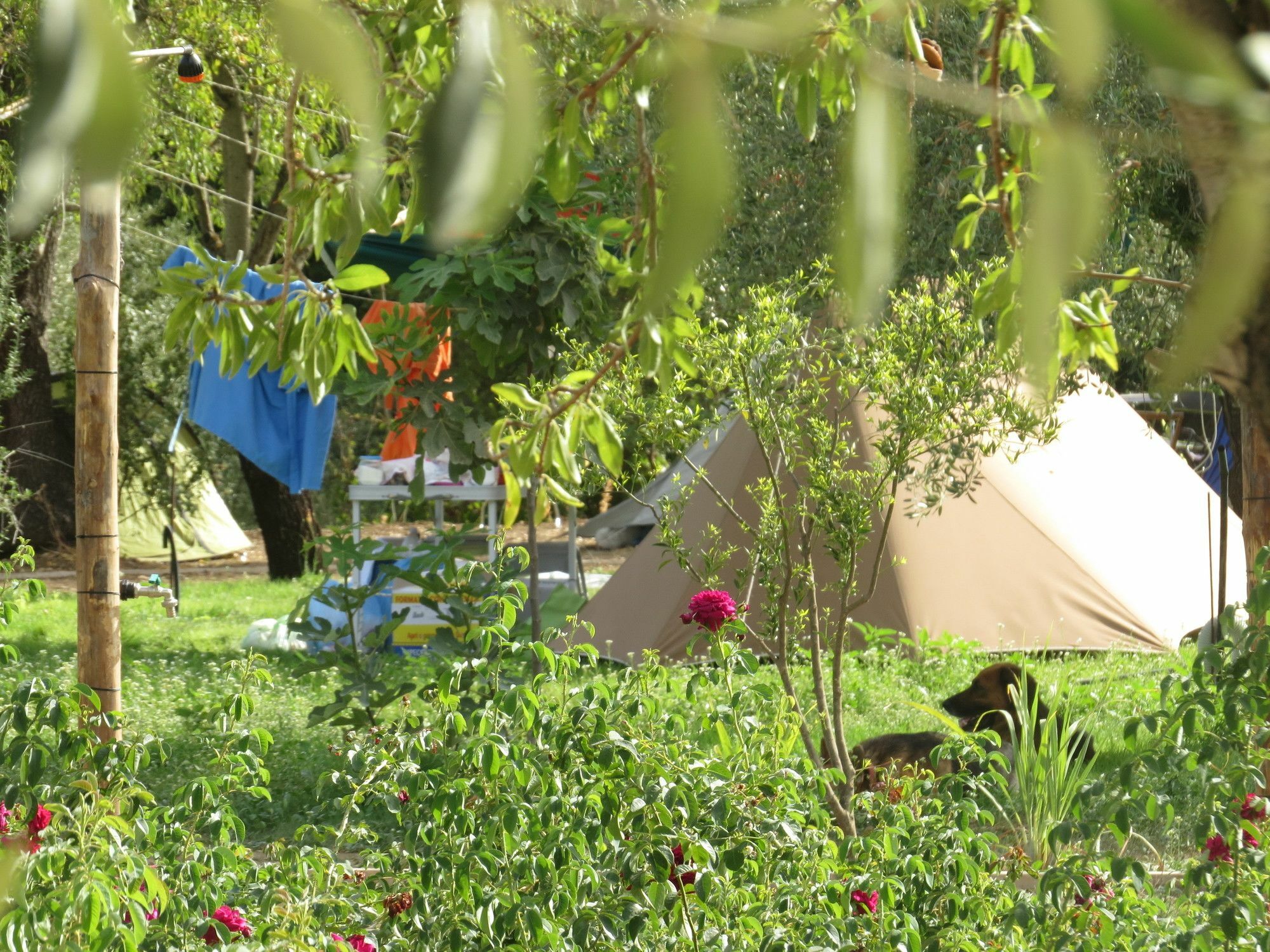 Hotel Camping Fiori Di Noto Extérieur photo