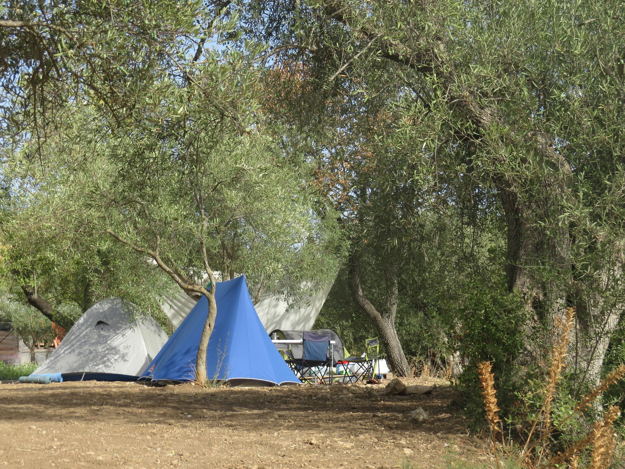 Camping Fiori Di Noto Extérieur photo